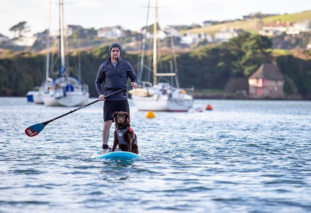 Keep your furry friend safe! Tips for taking your dog to the beach