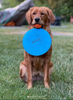 Waboba Woof Pack