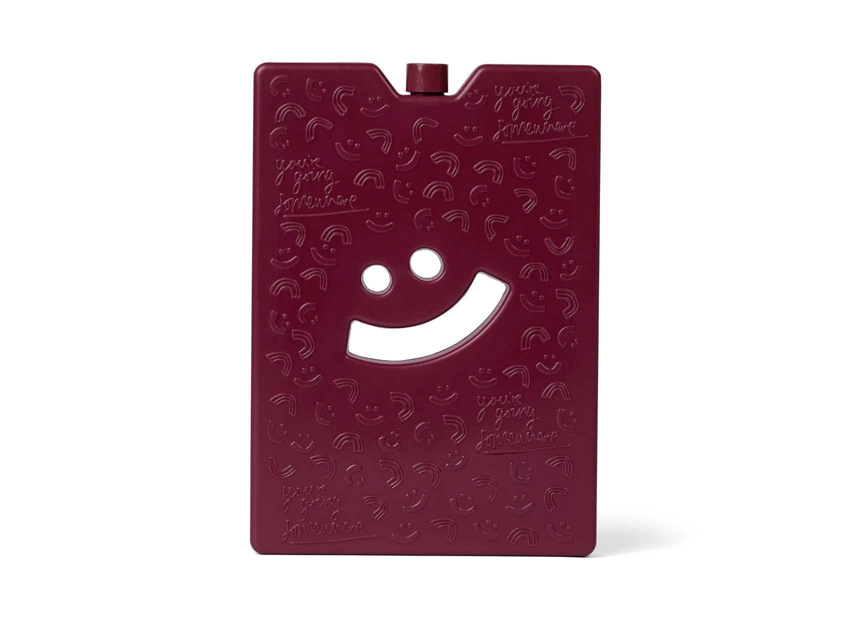 The Somewhere Co. Large Ice Brick - Burgundy