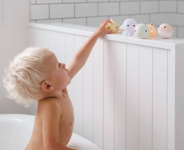 SunnyLife Sea Splash Toys - Sea Animals