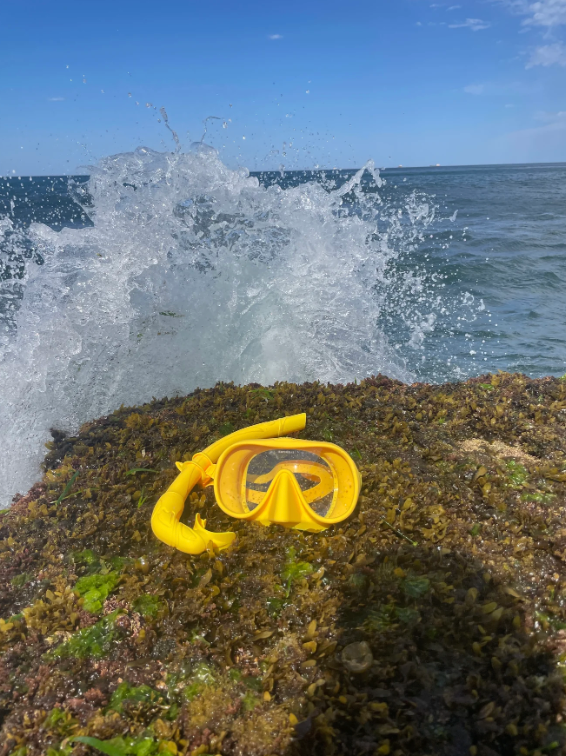 Sublime Supplies Deluxe Silicone Snorkel Set  - Yellow
