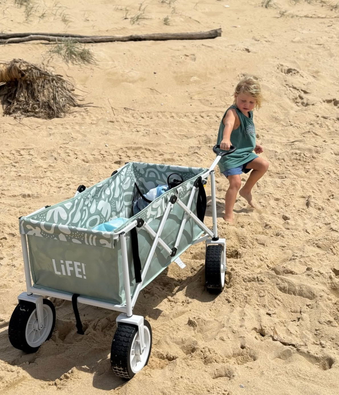 LIfe! Beach Cart - Eden Delmar