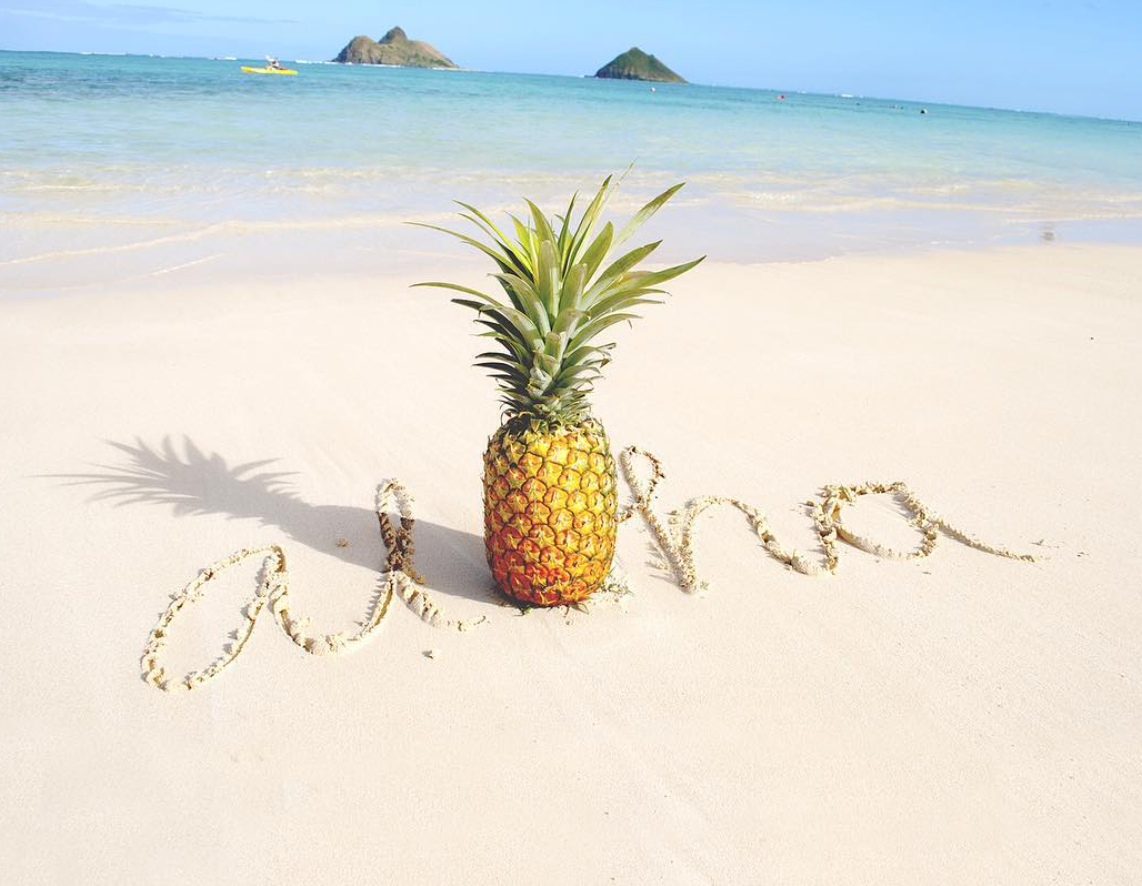 CocoNene Hawaiian Drink Bottle -  Pineapple Beach