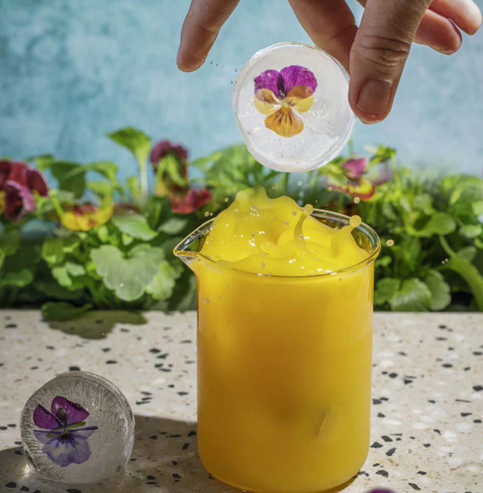 DrinksPlinks- Sassy Spheres