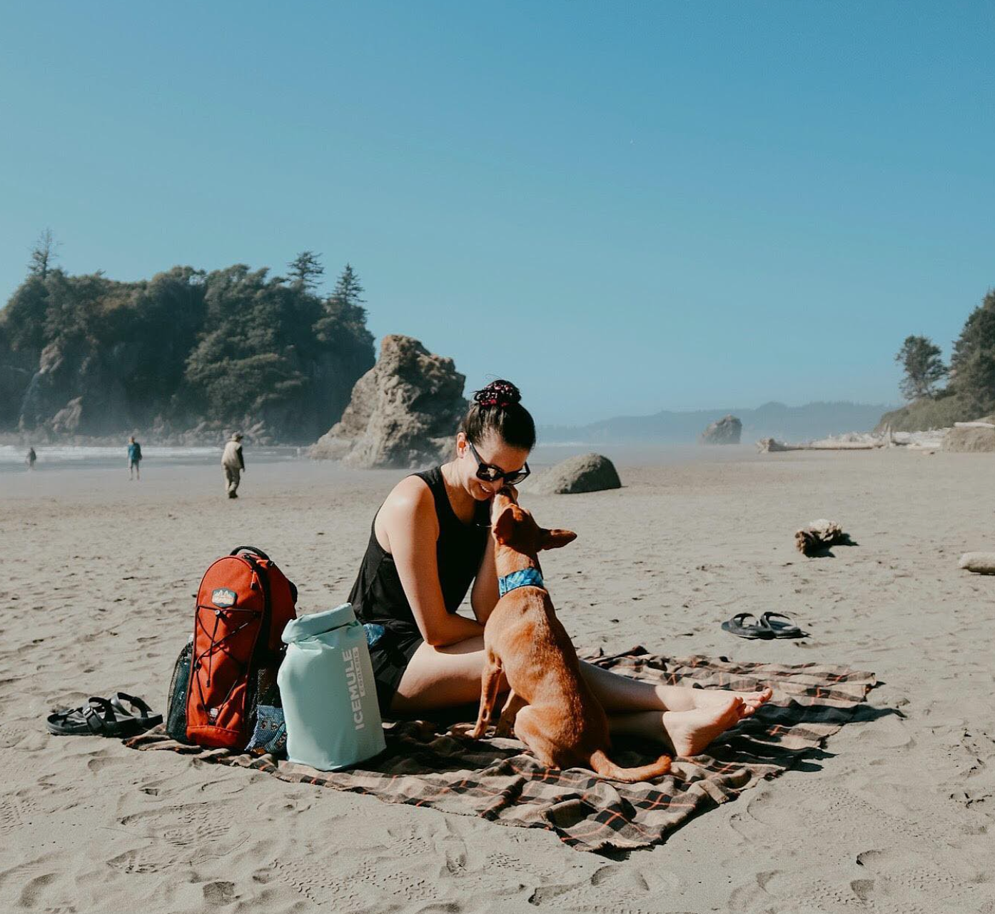 IceMule Classic Beach Coolers - SeaFoam 20ltr